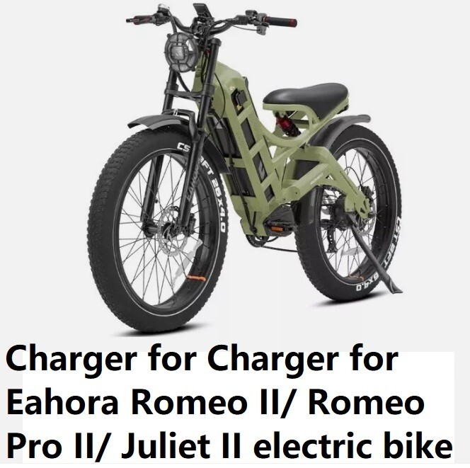 🔥fast 5A battery Charger for 48V Eahora Romeo II/ Romeo Pro II/ Juliet II Ebike