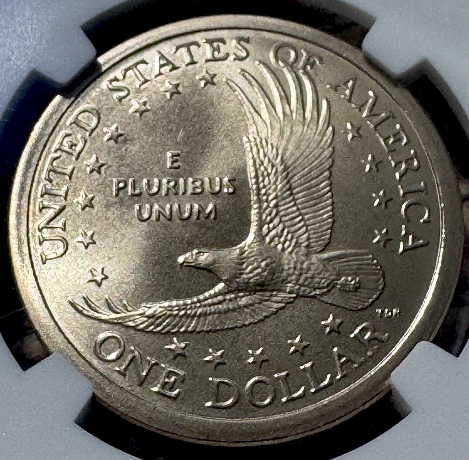 2008 d sacagawea dollar NGC MS 68