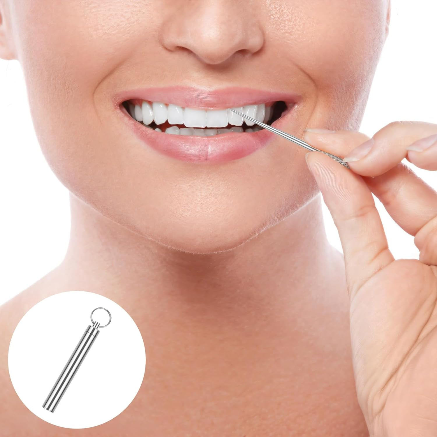 10 Pcs Reusable Metal Toothpick with Waterproof Case, Portable Stainless Stee...