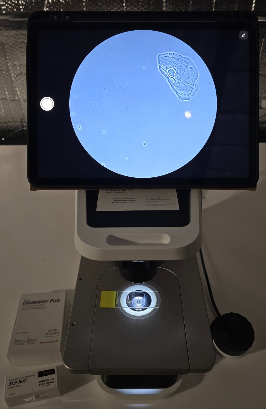 ECHO Rebel REB-01-E2 Brightfield Phase Contrast Microscope 10x 40x 100x w/ iPad