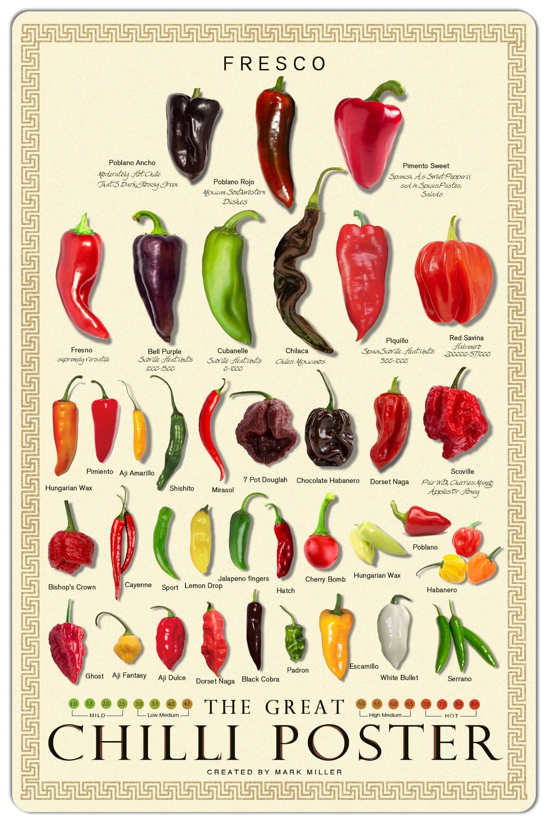 Vintage The Great Chilli Poster Fresco Pepper Species 8x12 Inch, FX109B-89