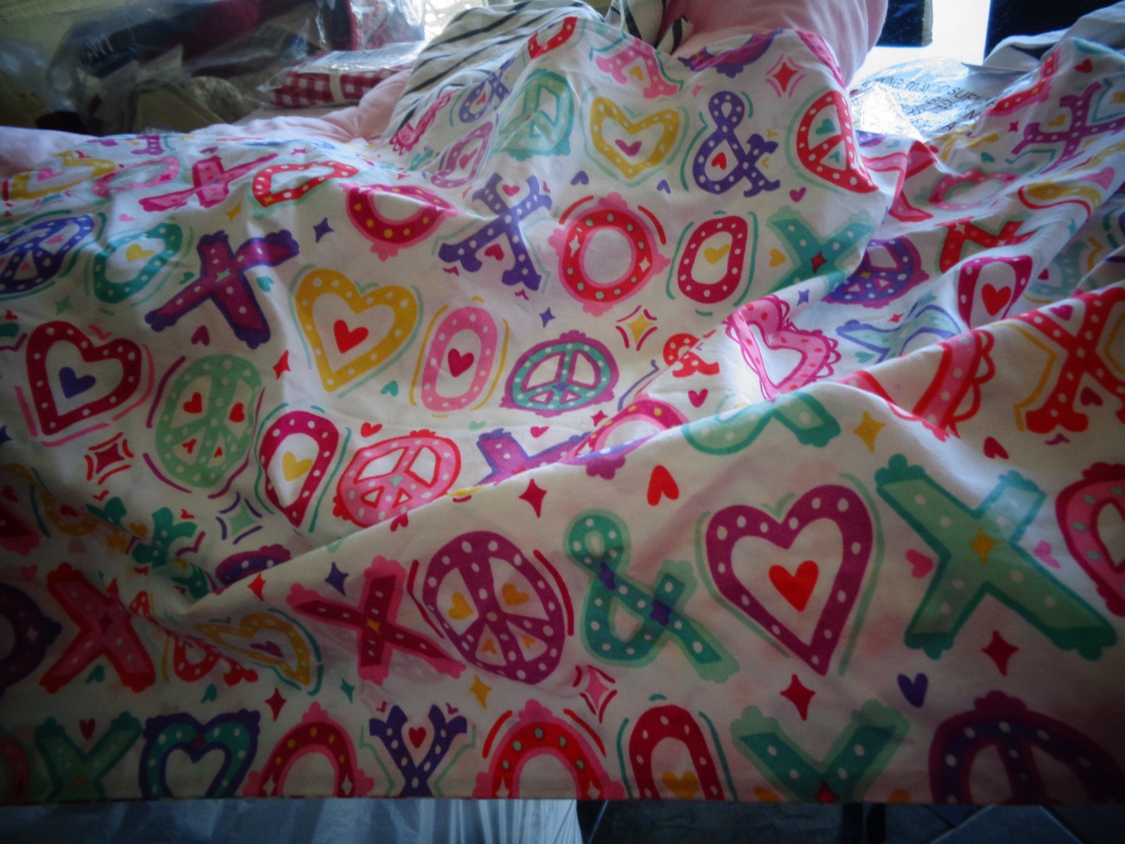 Pottery Barn Teen Sweet Dreams sleeping bag pillowcase mono Shiffy New