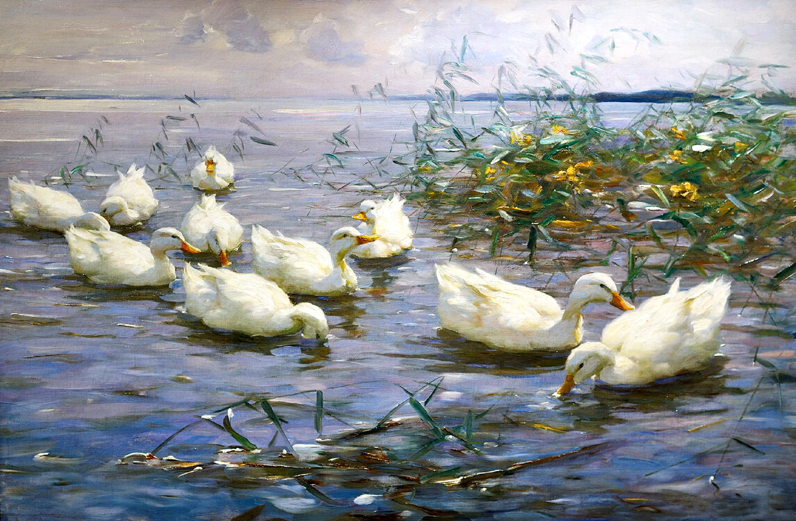 Wall art Ducks on the Water Oil painting Giclee Art HD Printed on canvas L3398
