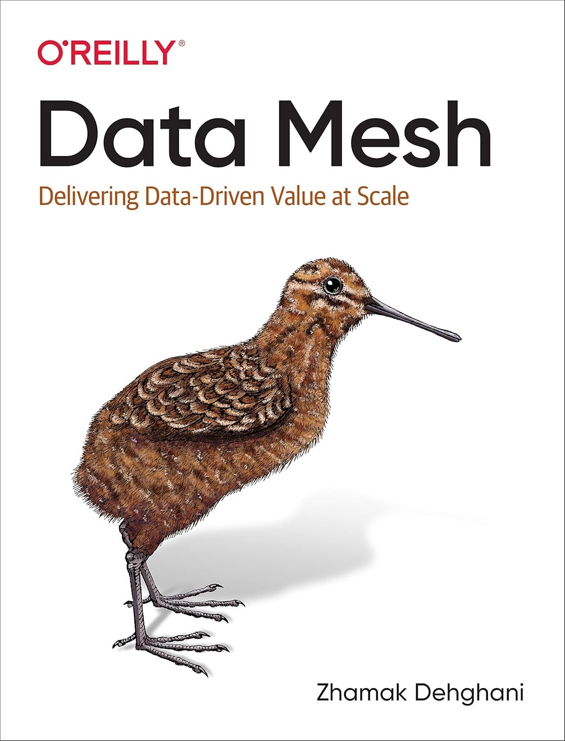 Data Mesh: Delivering Data-Driven Value at Scale Paperback IN