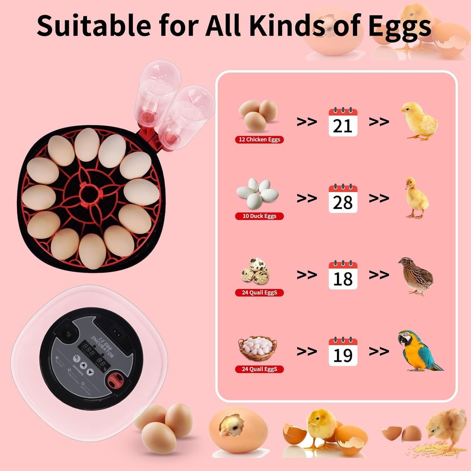 Incubators for Hatching Eggs, Egg Incubator with Automatic Egg Turning and Humid