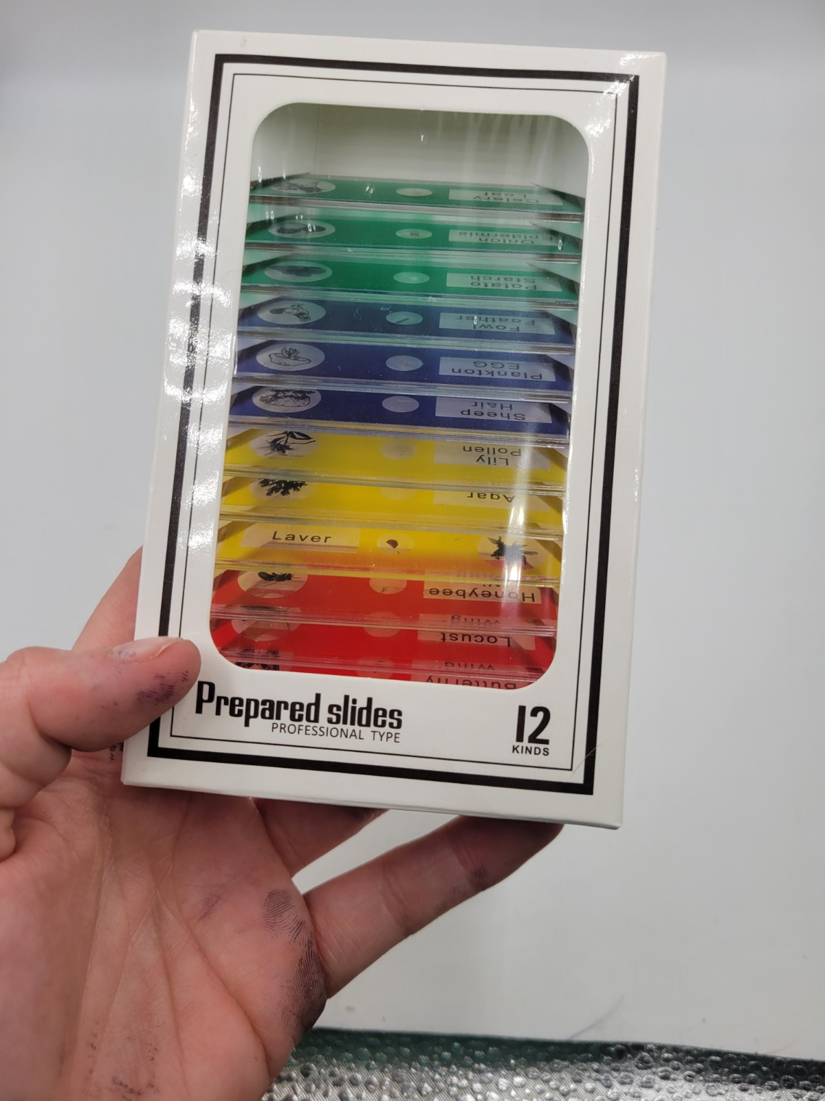 Prepared Slides Professional Type 12 Kinds