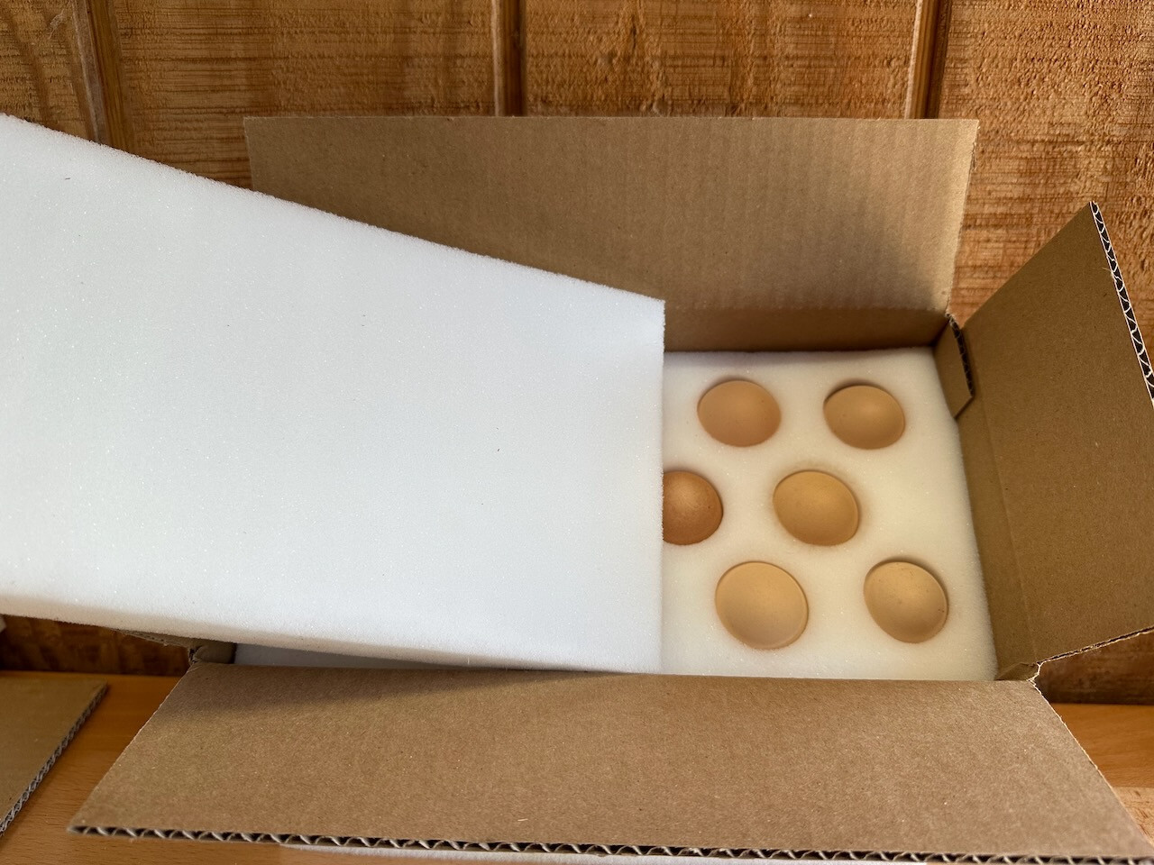 6 SETS - 14 Hole Foam Egg Shippers with Extra Thick Padding! (INCLUDES BOXES)