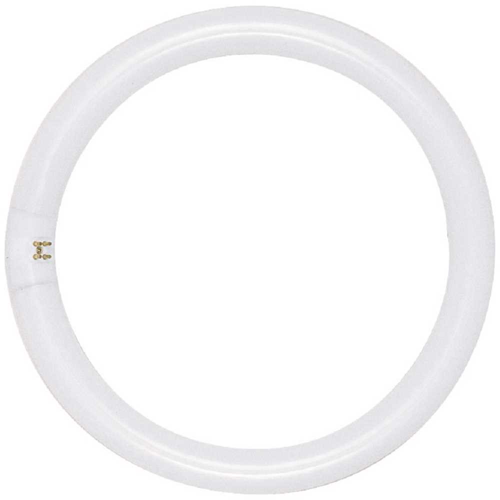 22-Watt Circline T9 G10q Base Fluorescent Tube Light Bulb, Cool White - pack of