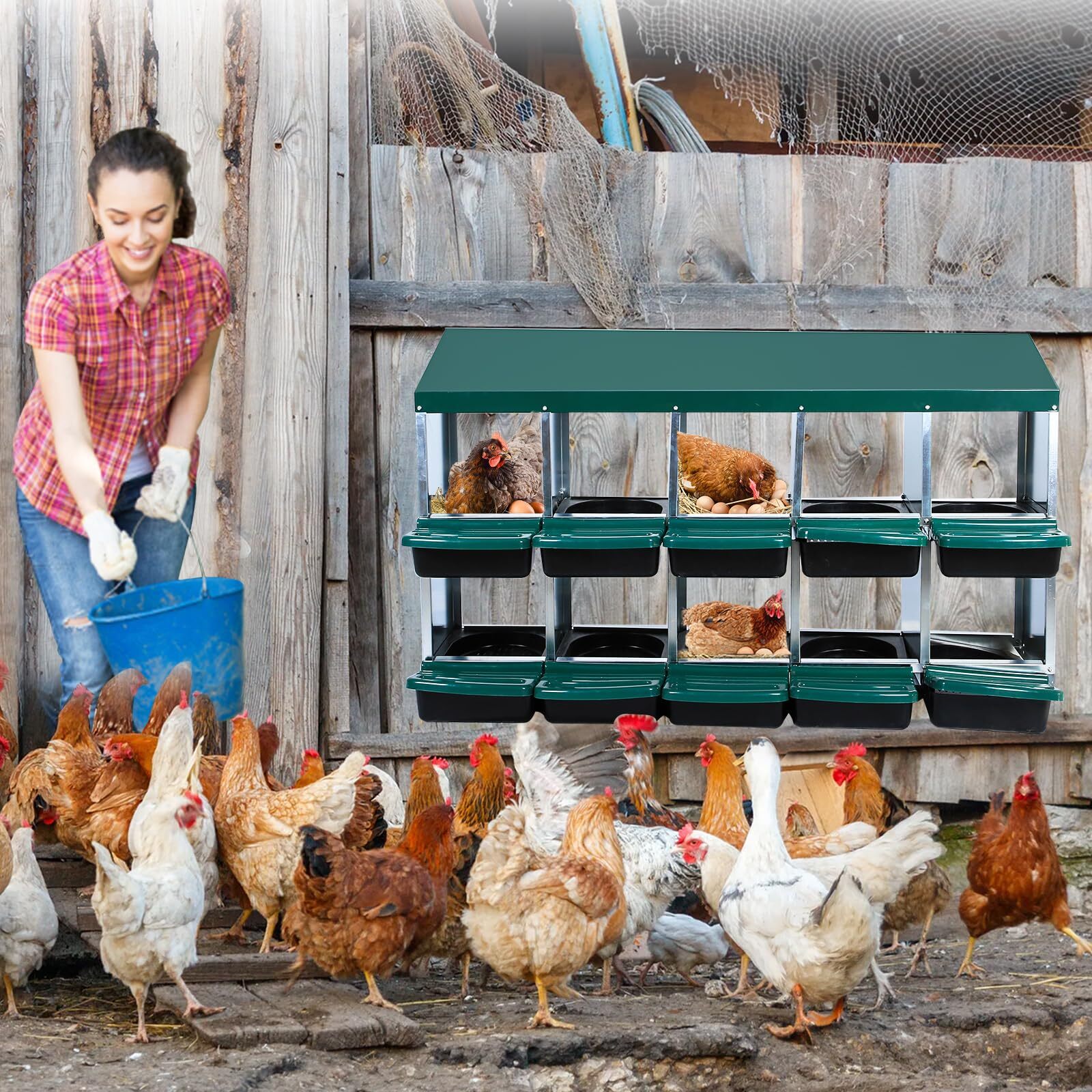 10 Compartments Chicken Nesting Box Chicken Nesting Boxes for Laying Eggs Metal