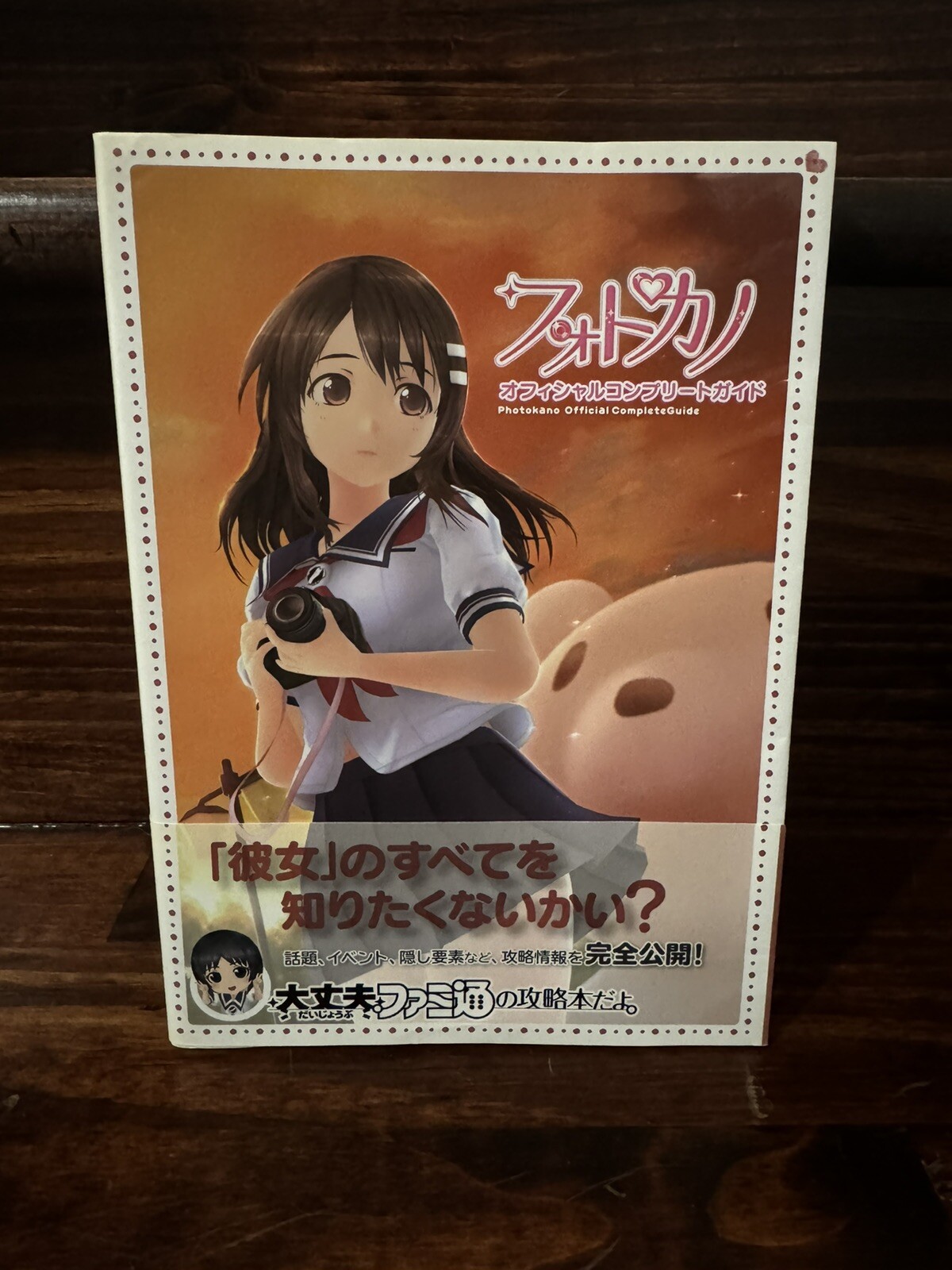 C0018 Book Photokano Official Complete Guide Obi Psp Strategy Sora And Suzu 2G