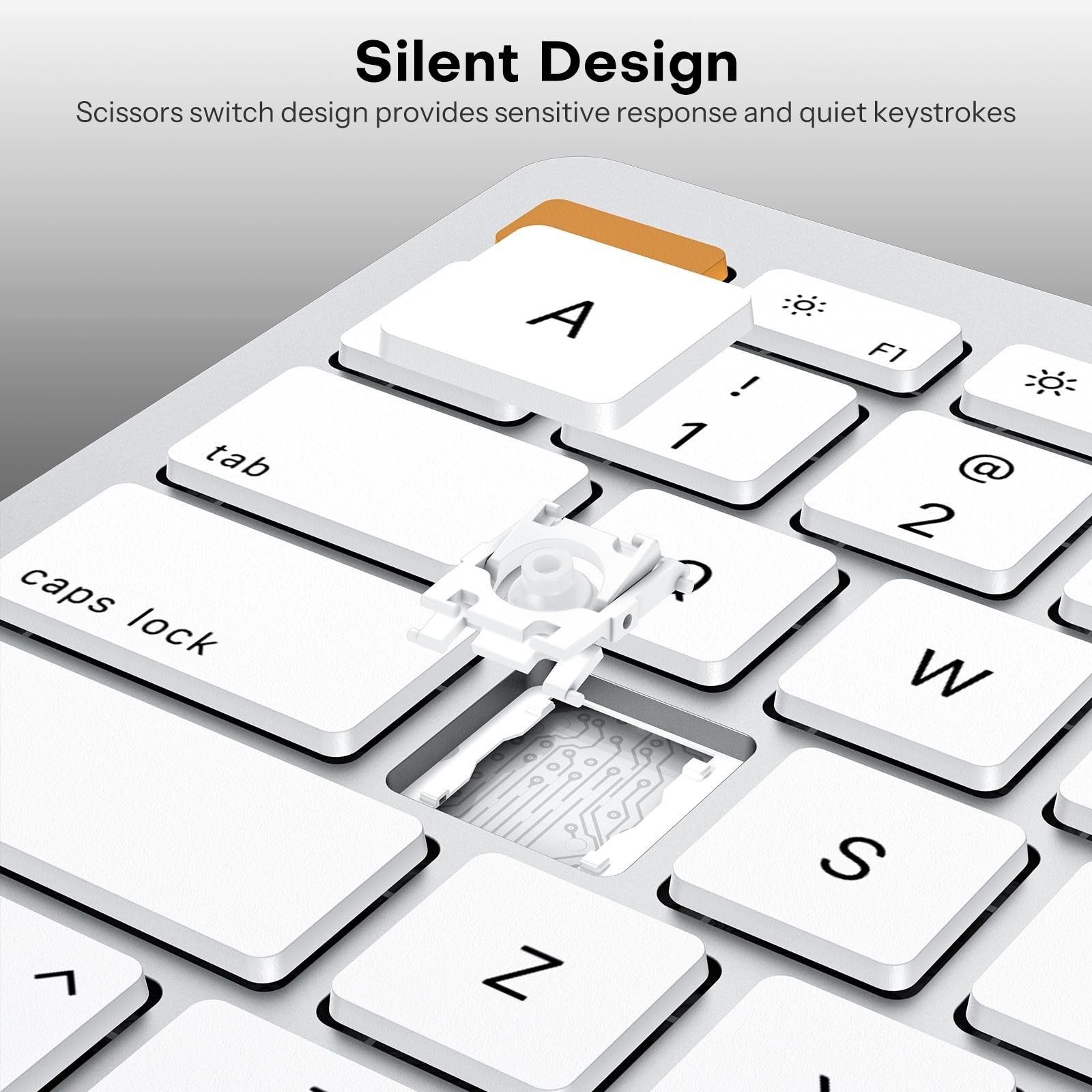 OMOTON Wired Keyboard and Mouse Compatible with Mac, Keyboard with Dual Inter...