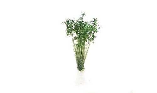 Woodland Game Terrain Dark Green Shrubs Tufts - #6632
