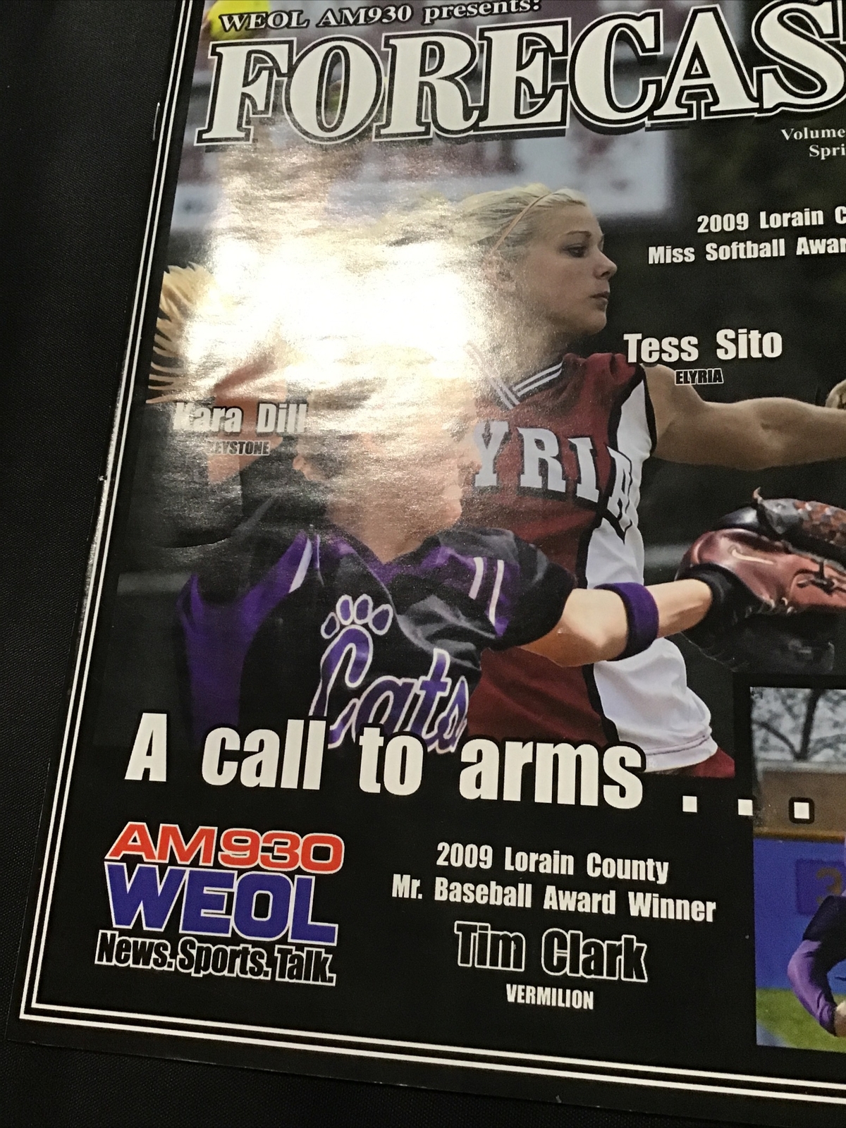2010 Softball Baseball Spring Preview Medina Lorain Magazine Program