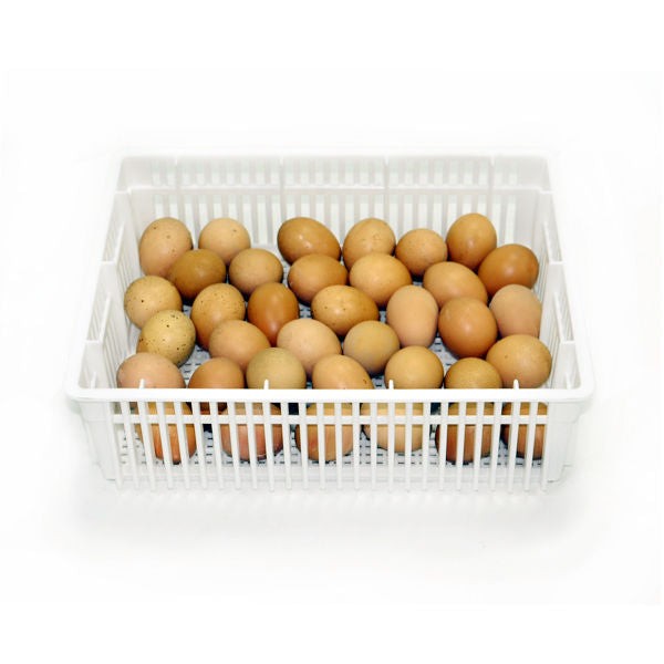 Egg Basket - 35 Eggs -(CS35Y)
