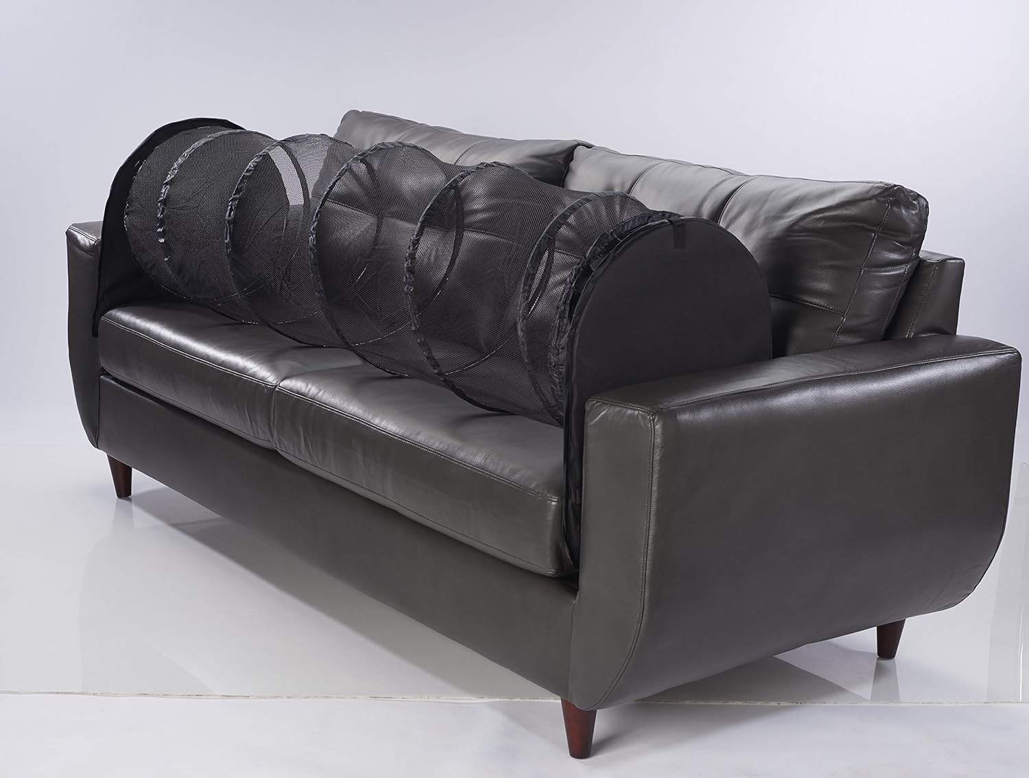 Keep Pets Off of Your Furniture Beige)