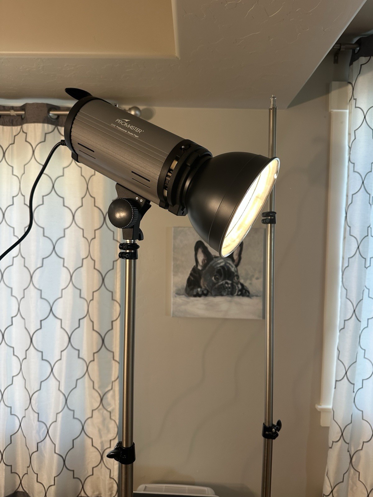 Set Of 2 Promaster 300C Professional Studio Strobe Flash Head Monolight System