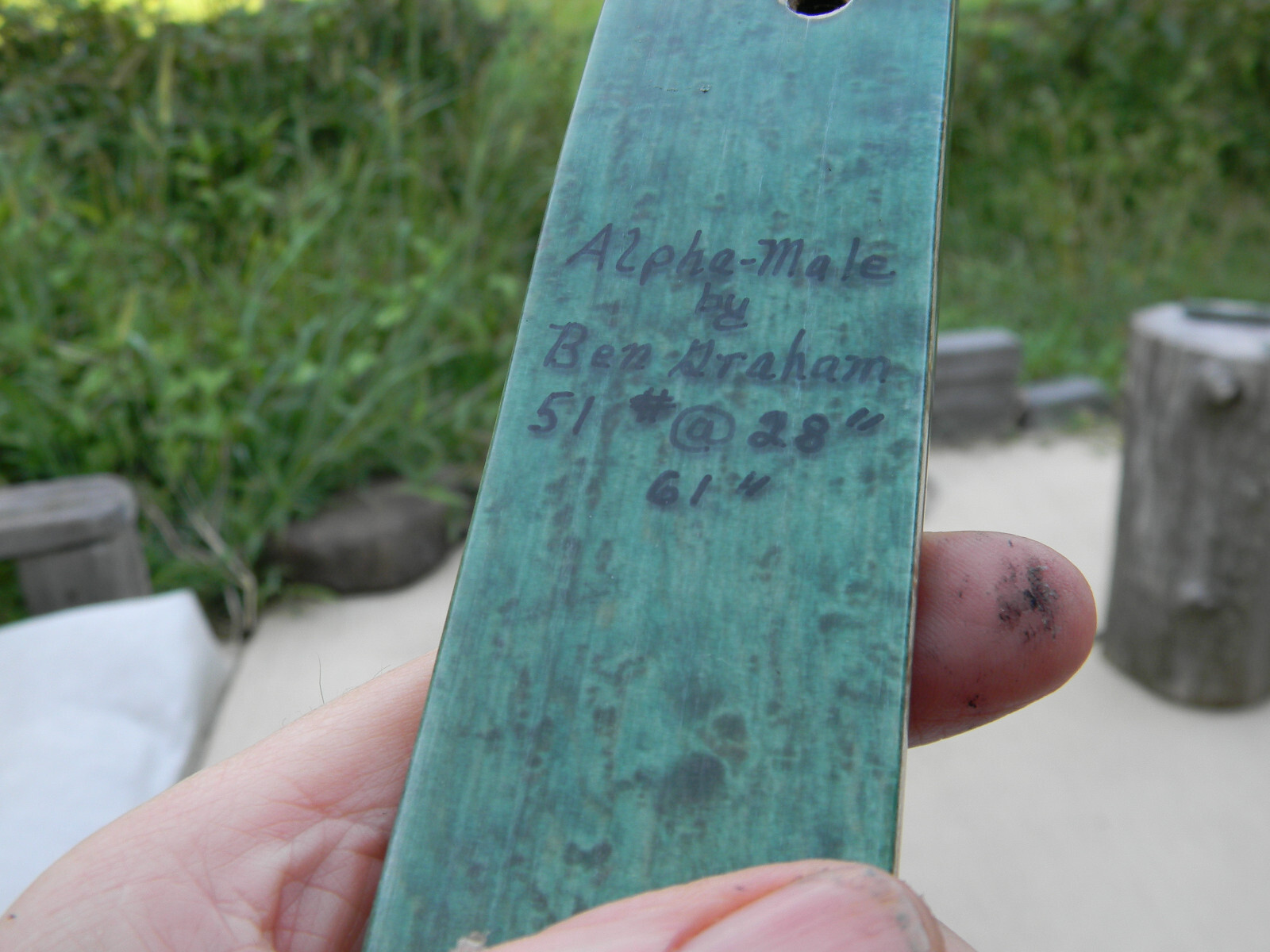 51# Alpha Male Hummingbird Recurve Takedown Limbs in Excellent Condition