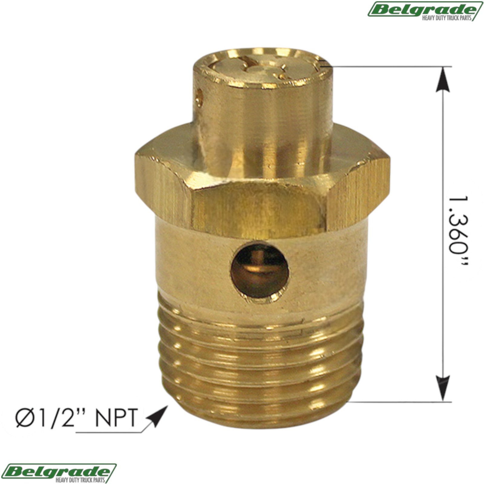170.131081 ST4 Type Safety Valve 250 PSI R955131081N 3969352 131081