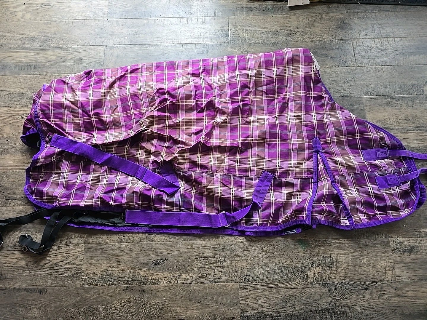 Horse Blanket 63