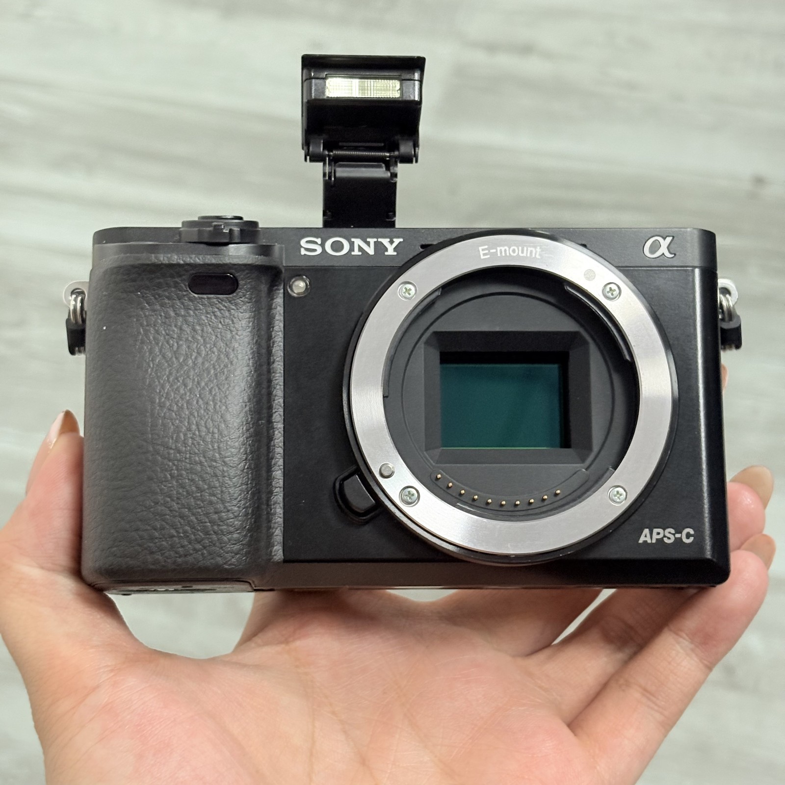 SONY A6000 24.3MP Digital Camera Body English Language Black - 95%NEW
