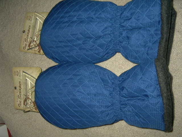 2 new Wembley Handy Dandy Ice Scraper blue mitt