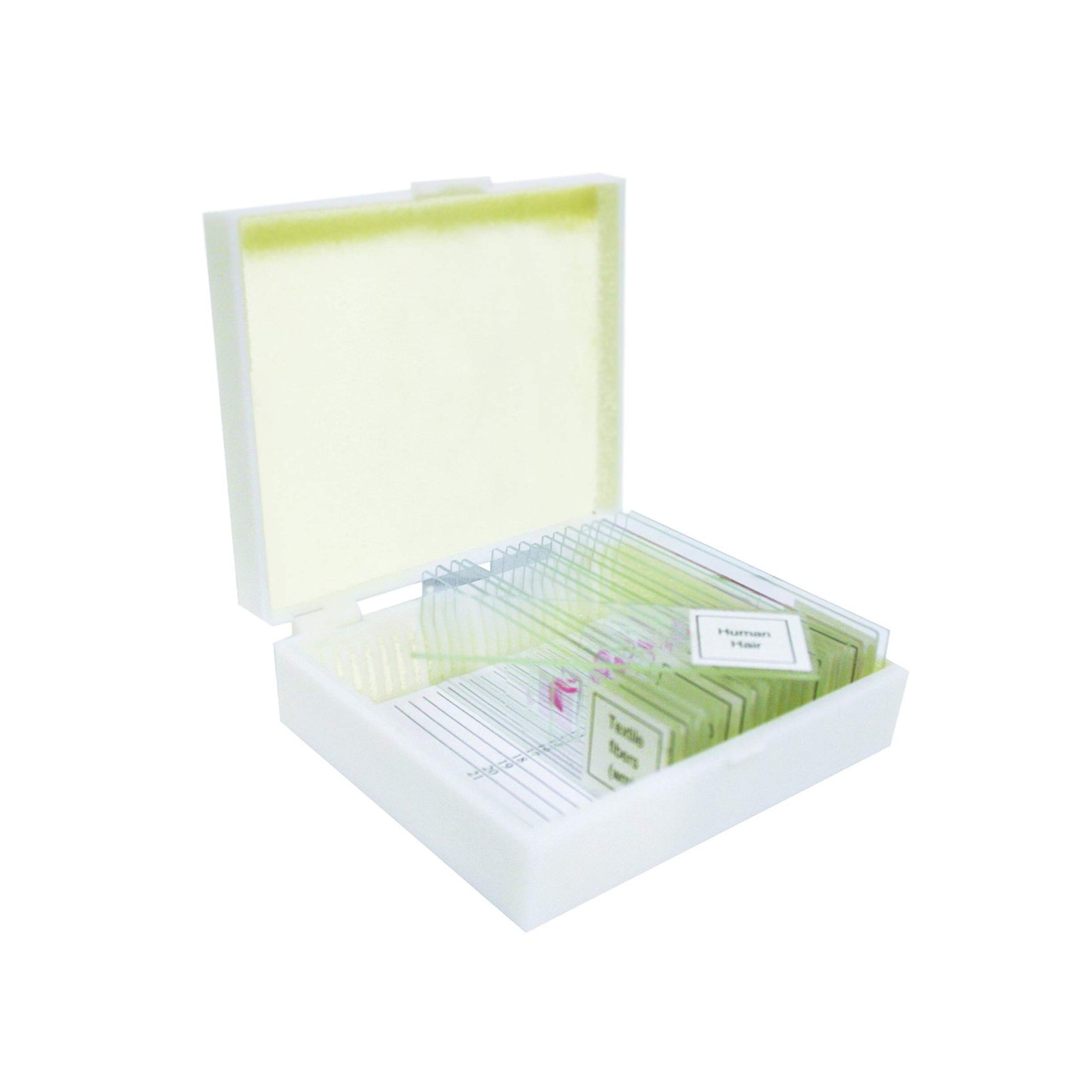 VSH130 Prepared Slide Set – Meiosis & Mitosis (Set of 9) Package | Slides are...