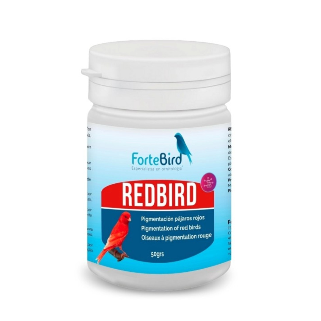 ForteBird RedBird