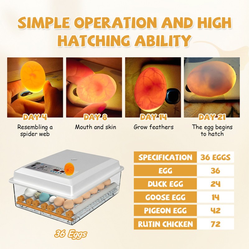 36 Eggs Incubator Chicken Incubators for Hatching Quail Automatic Egg Turning