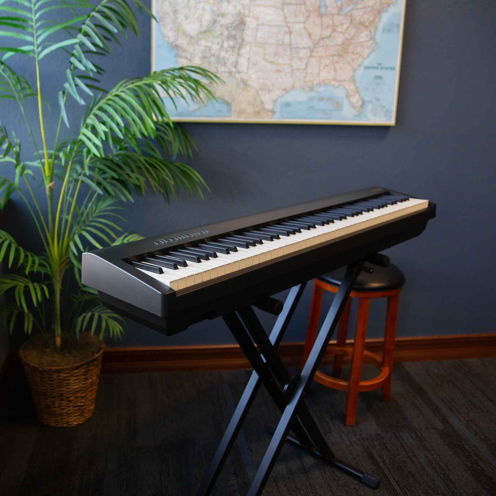 Roland FP-30X Digital Piano - Black STAGE ESSENTIALS BUNDLE