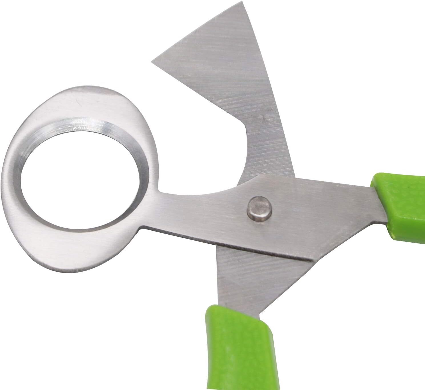 Quail Roast egg scissors eggshell scissors eggshell opening divider scissors Lot