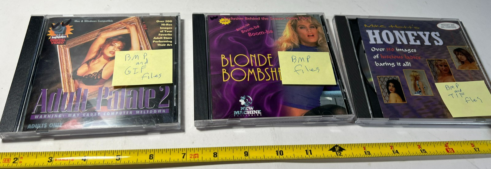 VINTAGE Glamour JPG GIF BMP TIFF Photograph files Models Nude swimsuit 3 cds DD