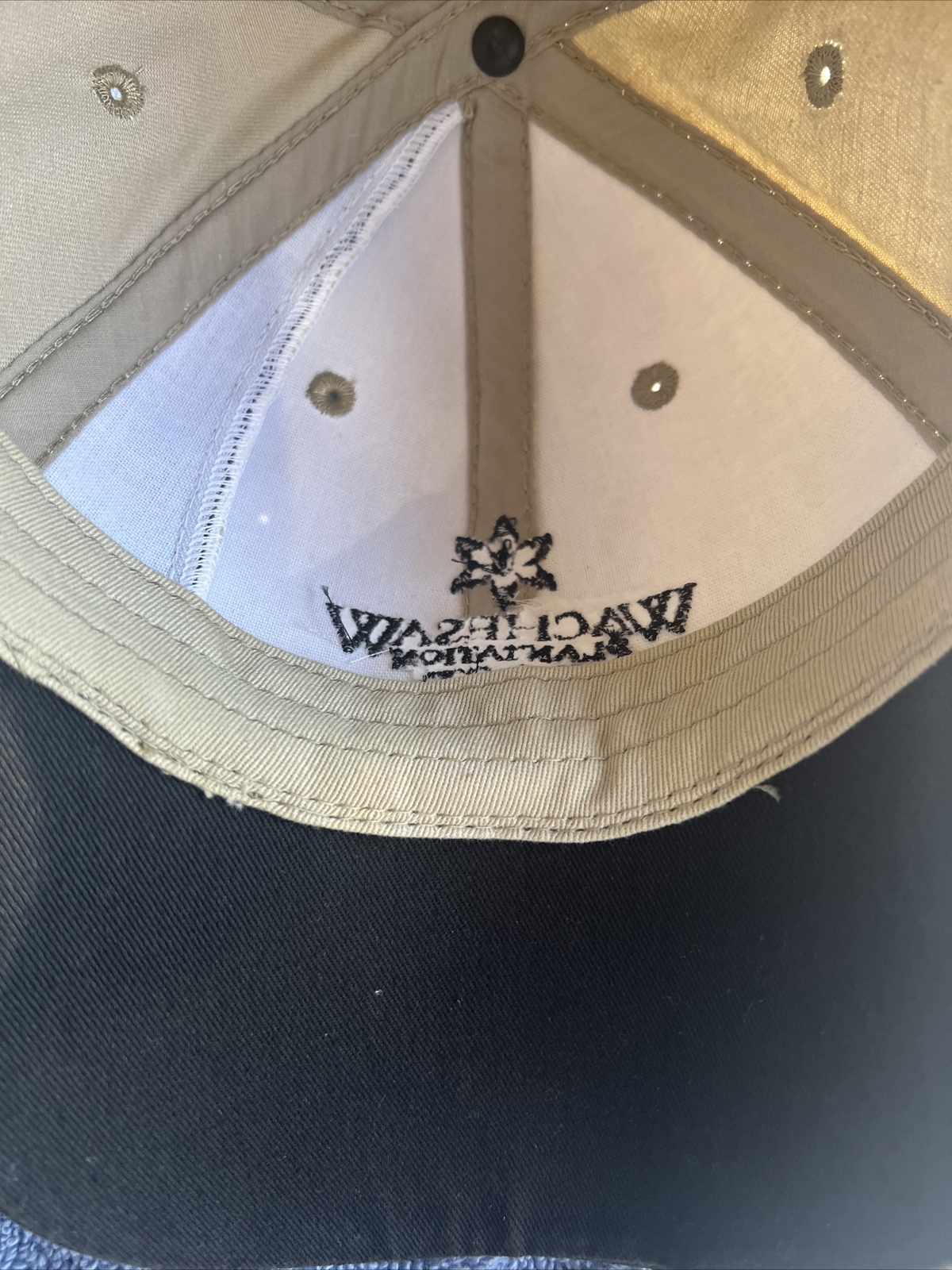 Men’s Strapback Golf Hat Adjustable Cap Dad Men Wachesaw Plantation East
