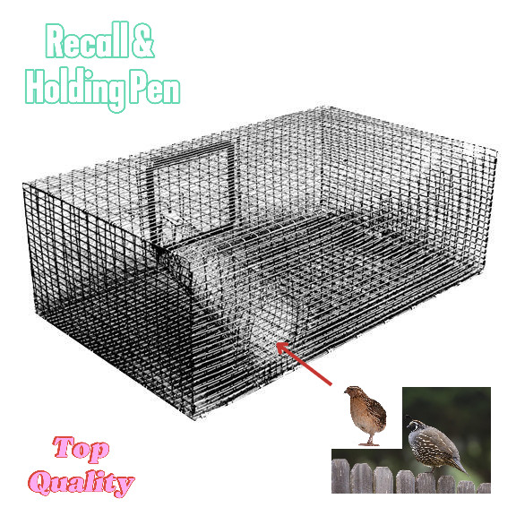 new best Quail Recall & Holding Pen heavy gauge galvanized wire for long life