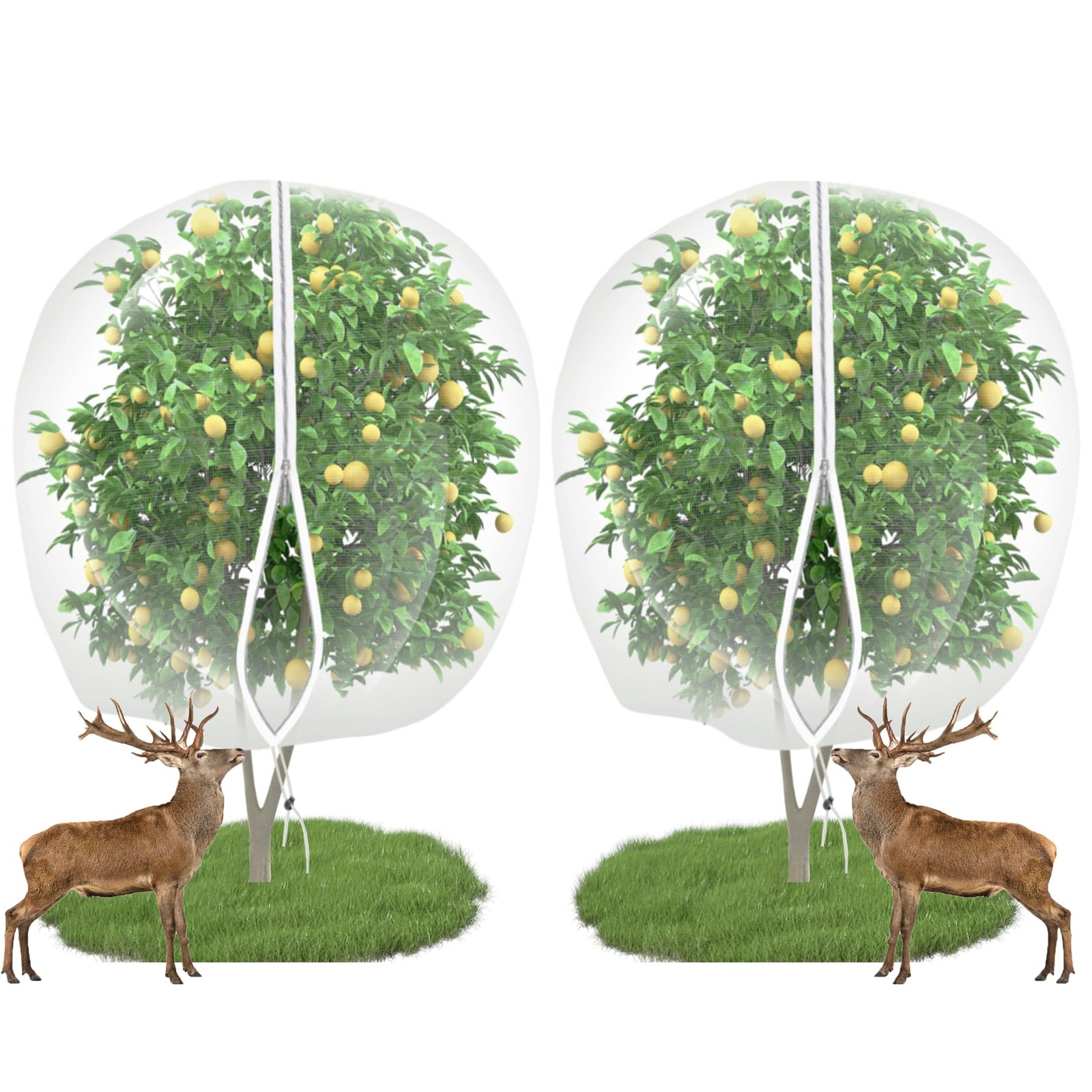 2 PC Large Fruit Tree Netting Cover for Squirrels and 2PC 10'x10', White