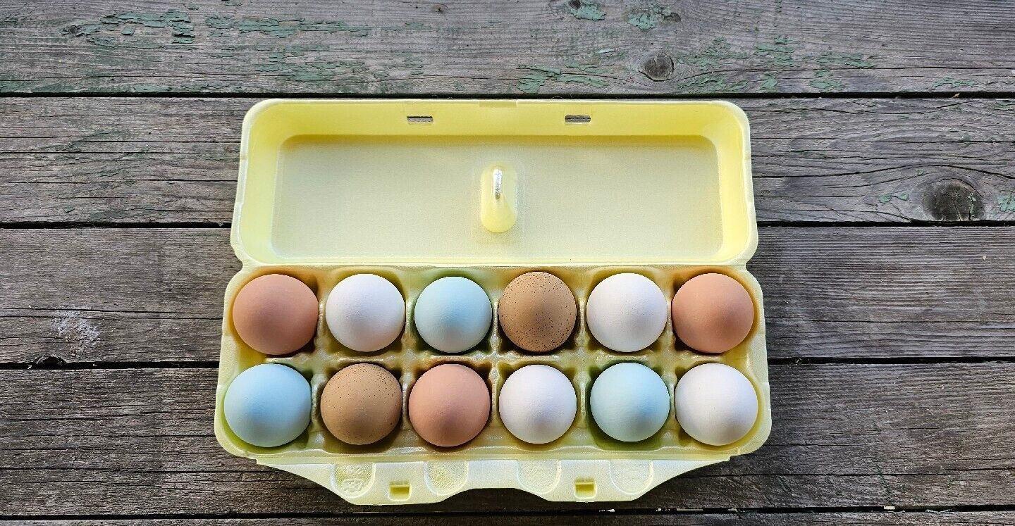 Styrofoam Egg Cartons (10 pack)