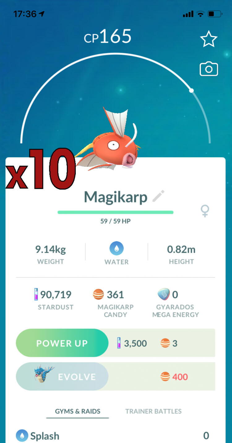 10x Magikarp Pokemon Bundle !! Good Chance of Lucky and Good IVs !! Go