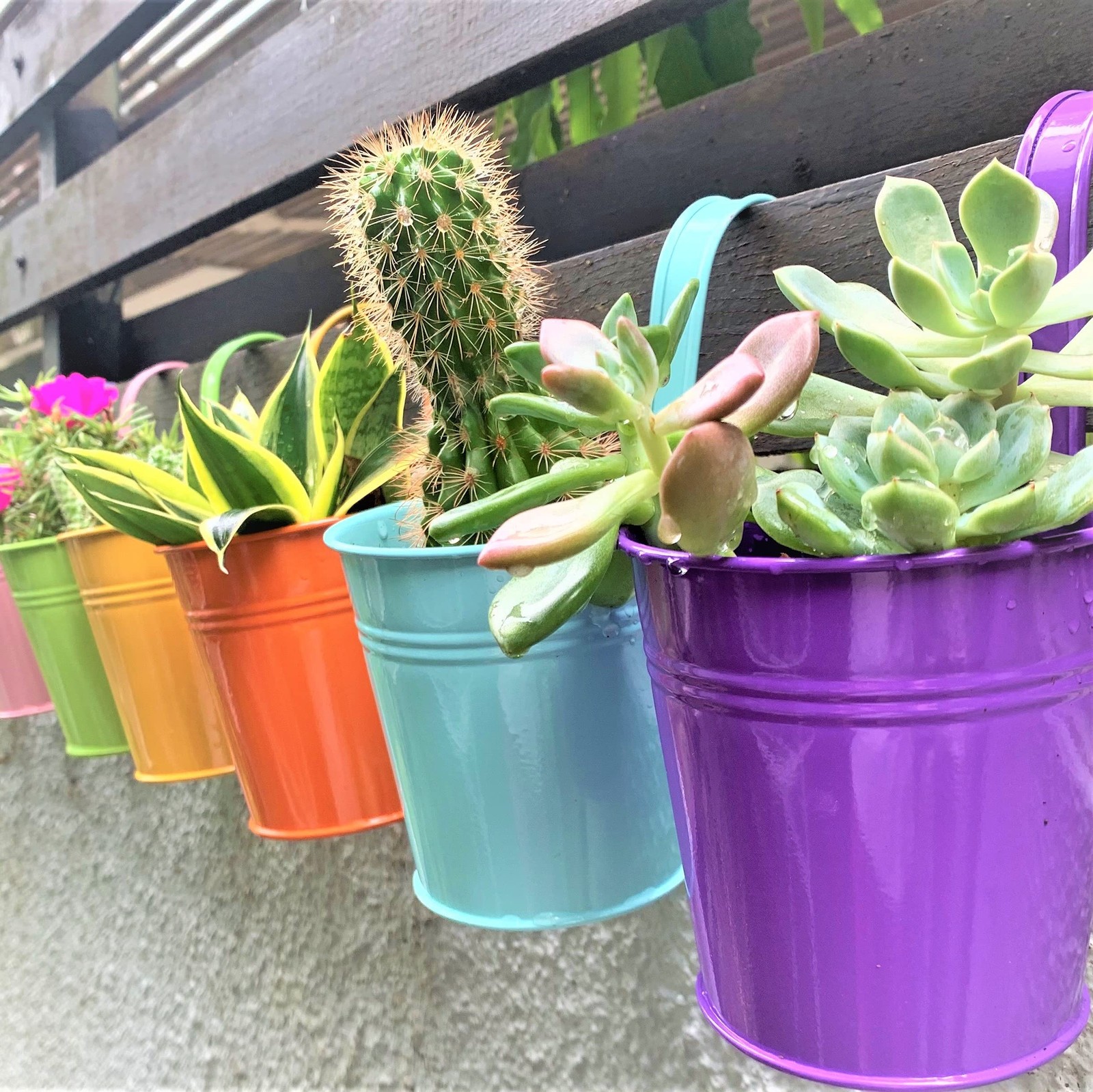 10 Pack Hanging Planters - 6 Inch Colorful Metal Flower Pots for Outdoor Garden