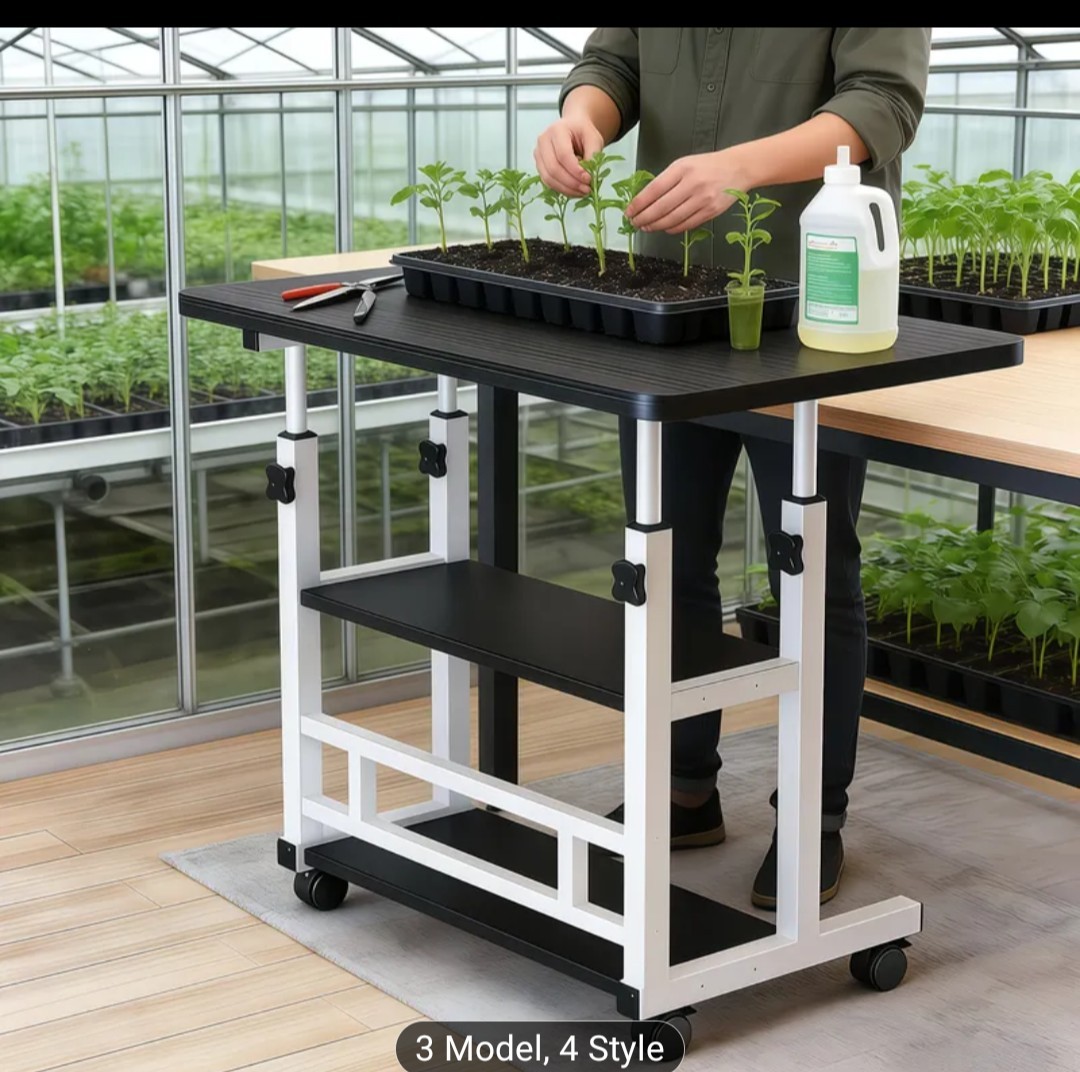 Standing Deck Three Layers Thickened For Office , Home, Hospital , Students Use
