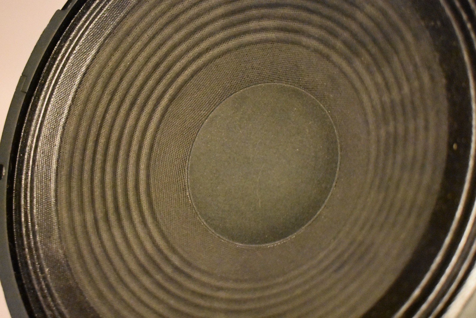 Randall 12" 16 Ohm Replacement Speaker
