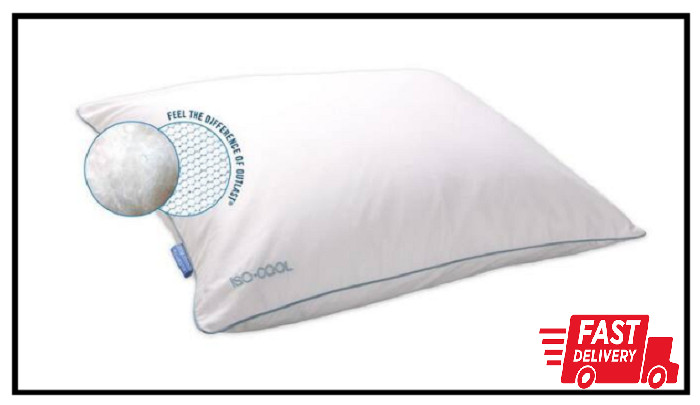 Isotonic down Alternative Standard Pillow (Set of 2)