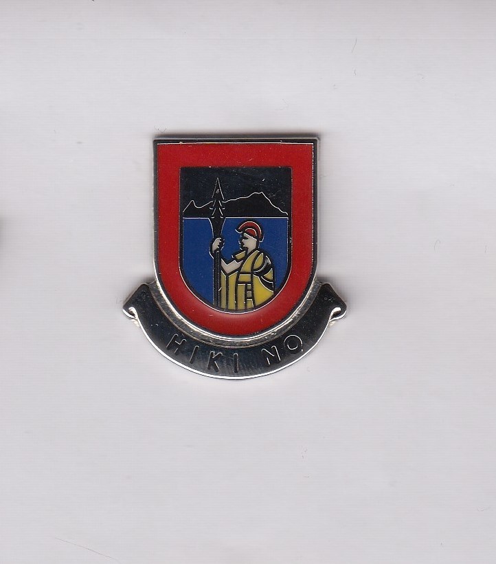 US Army 227th Engineer Battalion DUI crest c/b clutchback badge P-23