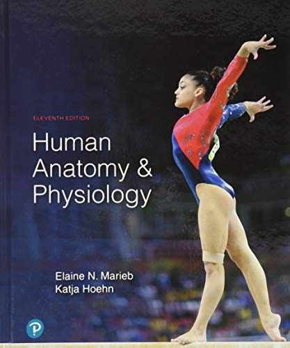 Human Anatomy & Physiology - Hardcover, by Marieb Elaine; Hoehn - Acceptable n