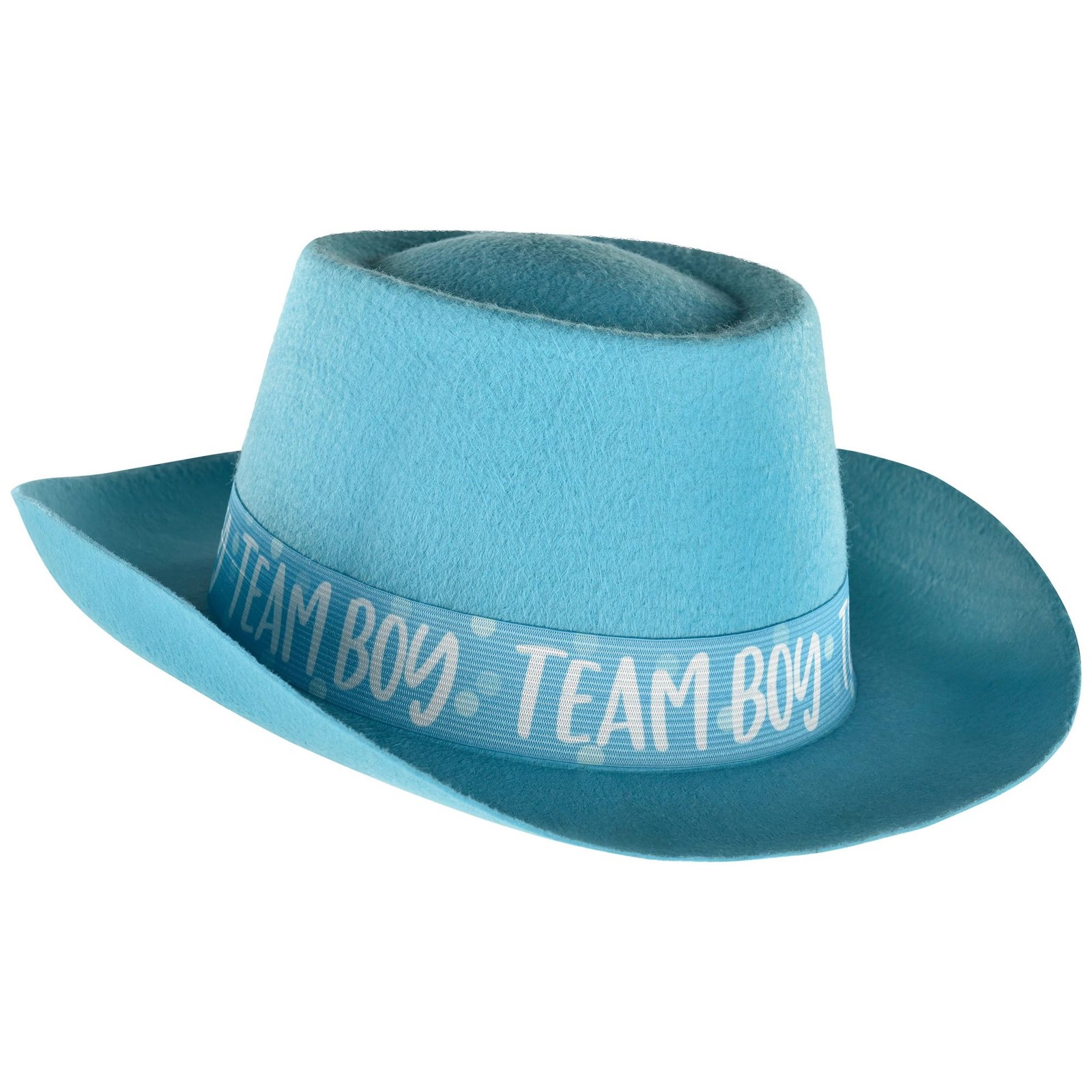 Team Boy Hat Blue Gender Reveal Baby Shower Party Favor Adult Costume Accessory