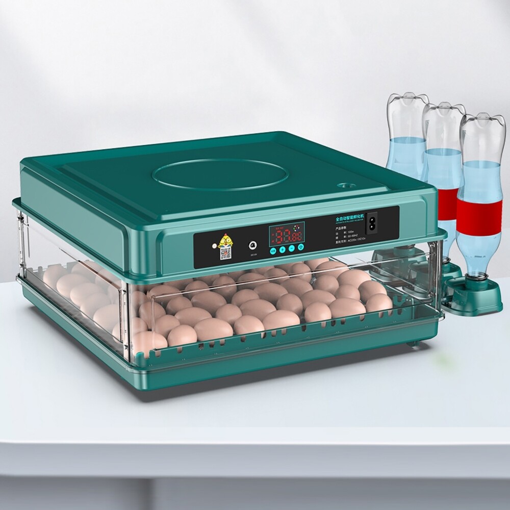 10 Eggs Fully Automatic Intelligent Double Electric Incubator Household Chicken