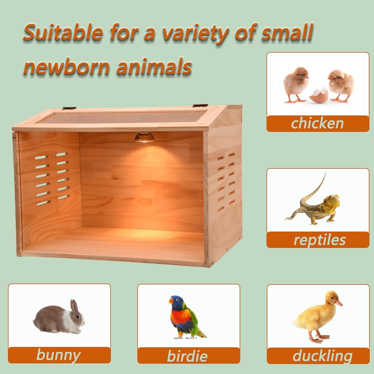 Chicken Brooder Box with Heater for Chicks Ducks Quail Poultry