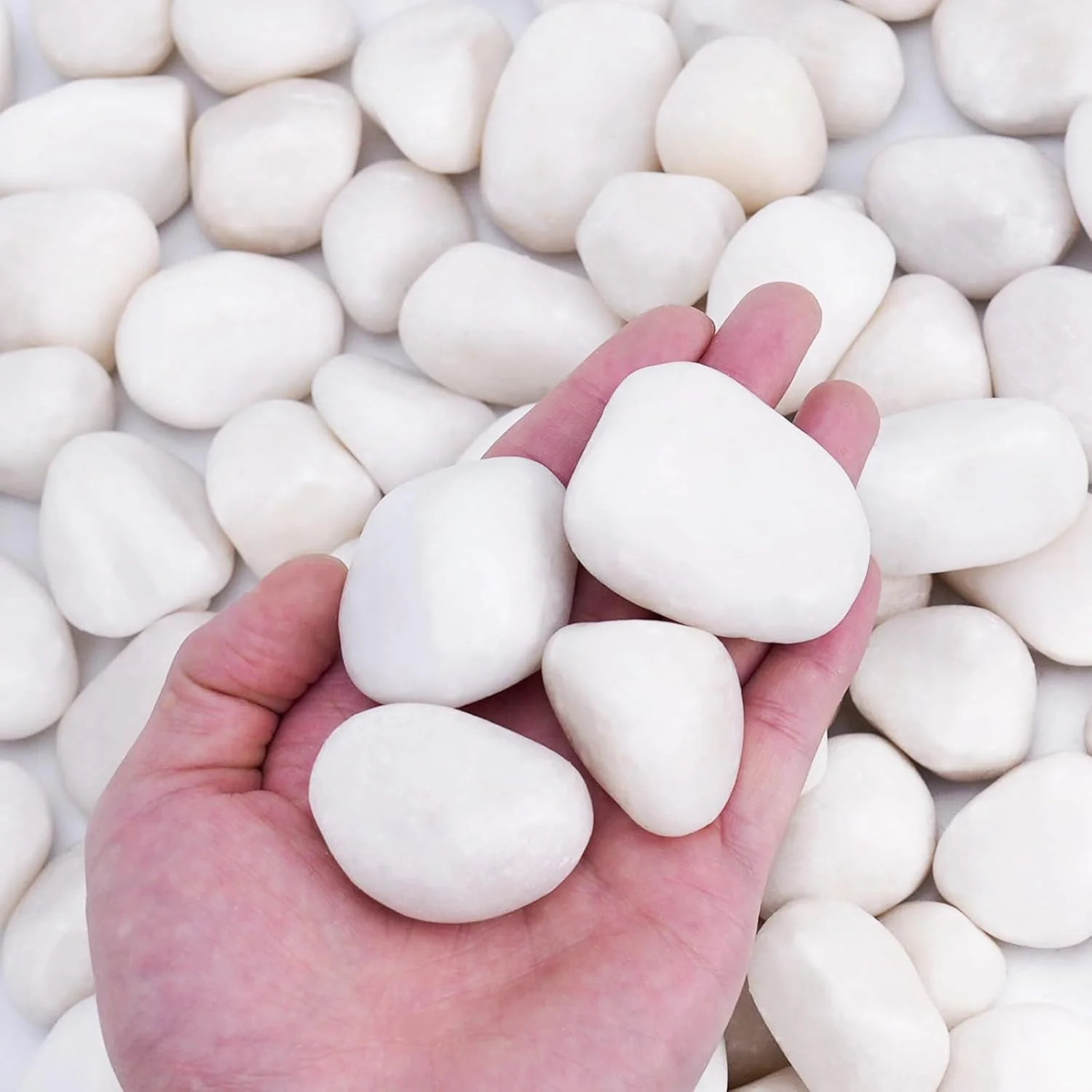 Pulovin 15 lbs White Rocks for Landscaping, 1-2 inch Large White Rocks for Plant