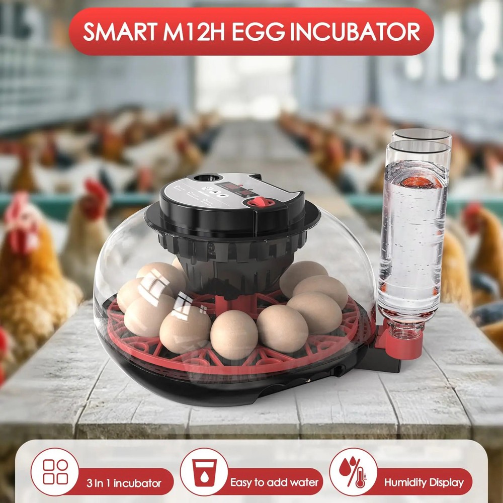 12 Egg Automatic Turning Chicken Hatcher Incubators Stable Temperature Incubator
