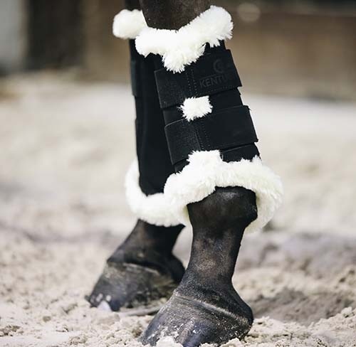 Kentucky Turnout Boots AIR