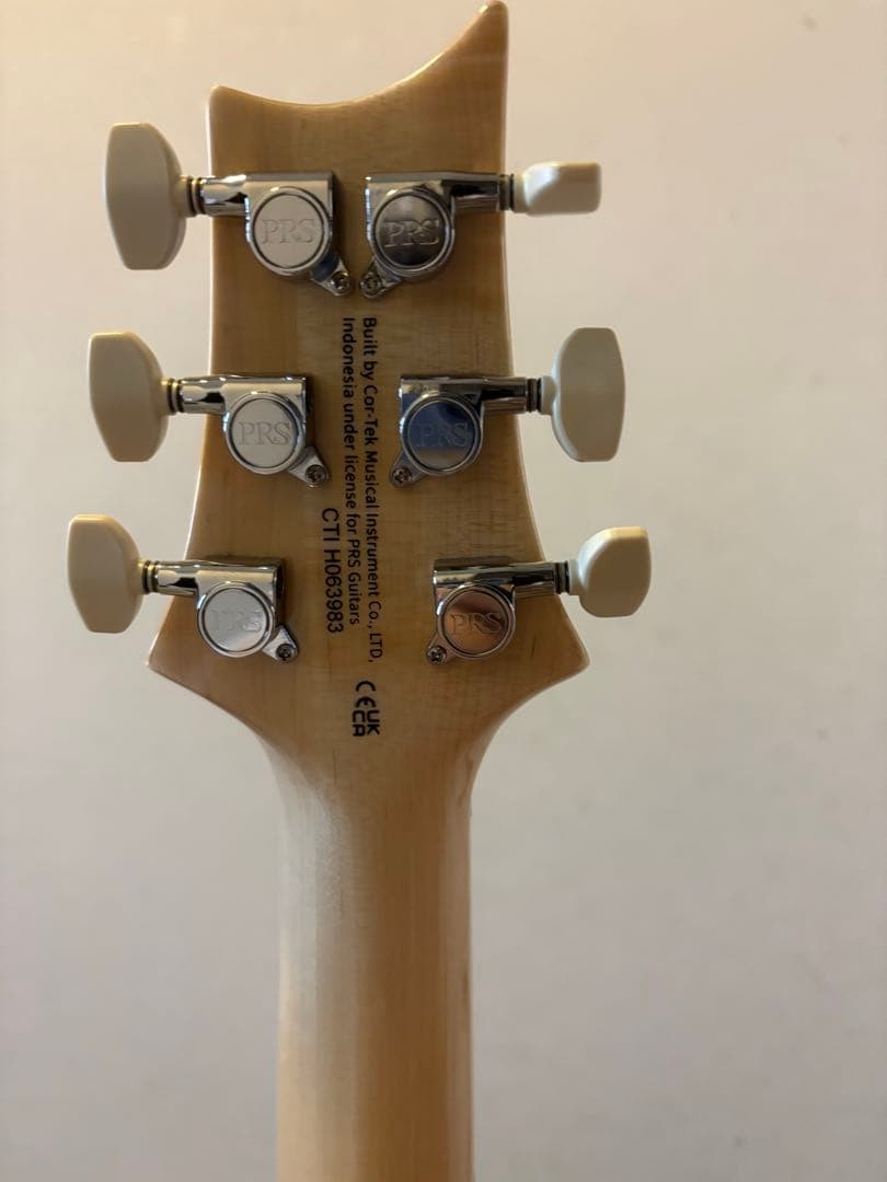 Prs Se Custom 24 Carefully Selected Demon Quilt