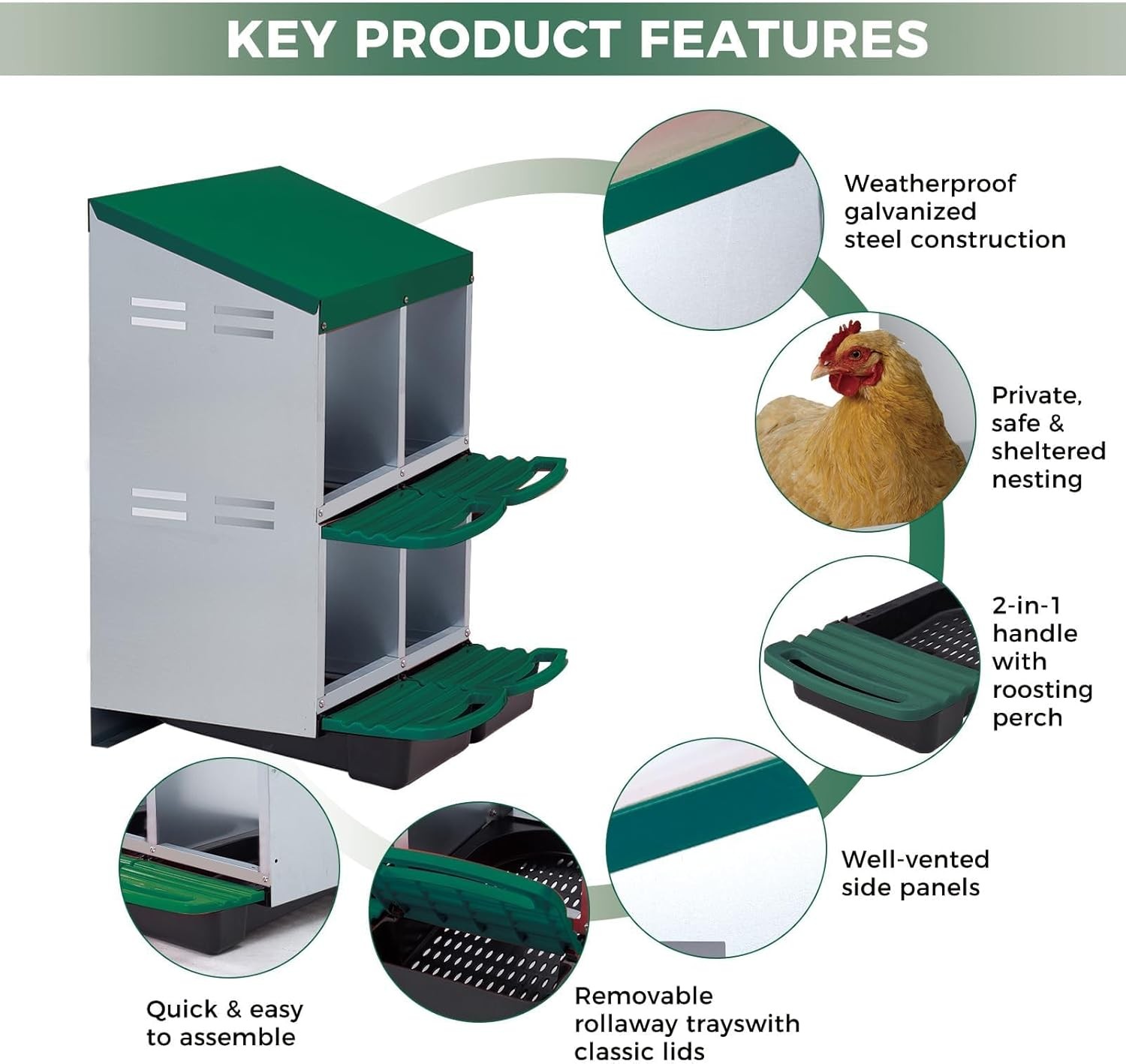 Chicken Nesting Box 4 Hole Hen Laying Box Roll Away Nesting Box for Laying Egg